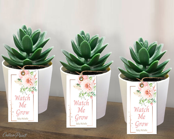 Baby Shower Favors Watch Me Grow Tags and Signs Templates - Etheral Rose Design - Baby01 - CalissaPrints