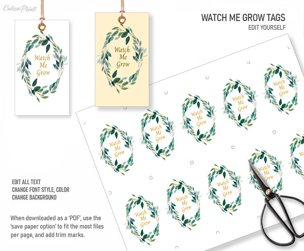 Baby Shower Watch Me Grow Tag and Sign Templates, Blush Pink Design - Baby09