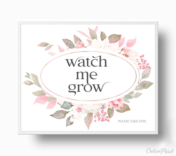 Baby Shower Watch Me Grow Tag and Sign Templates, Pretty Rose Design - Baby13